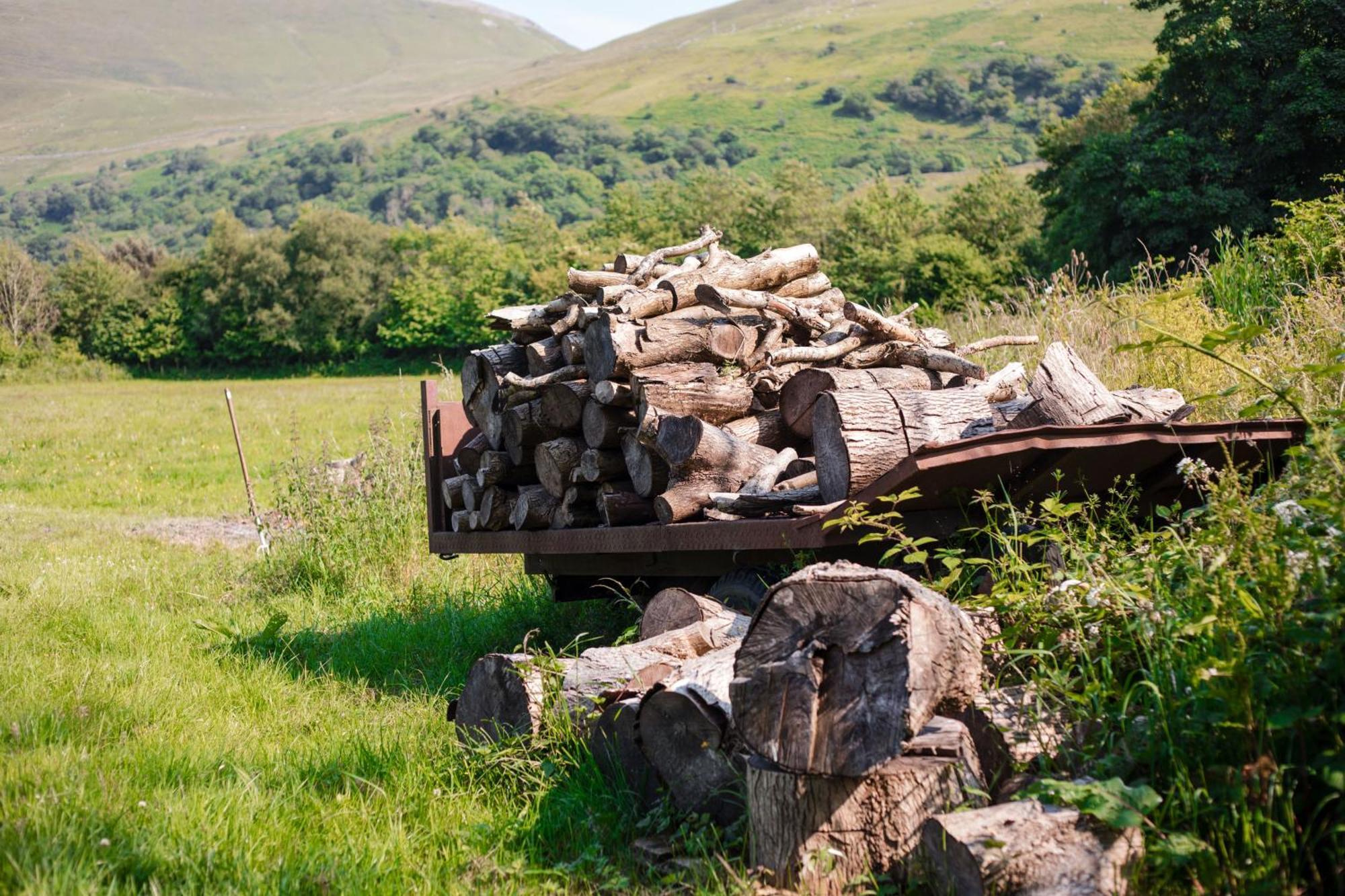 Trigonos - Quiet, Peaceful, Vegetarian B&B And Retreat Centre Nantlle Zewnętrze zdjęcie