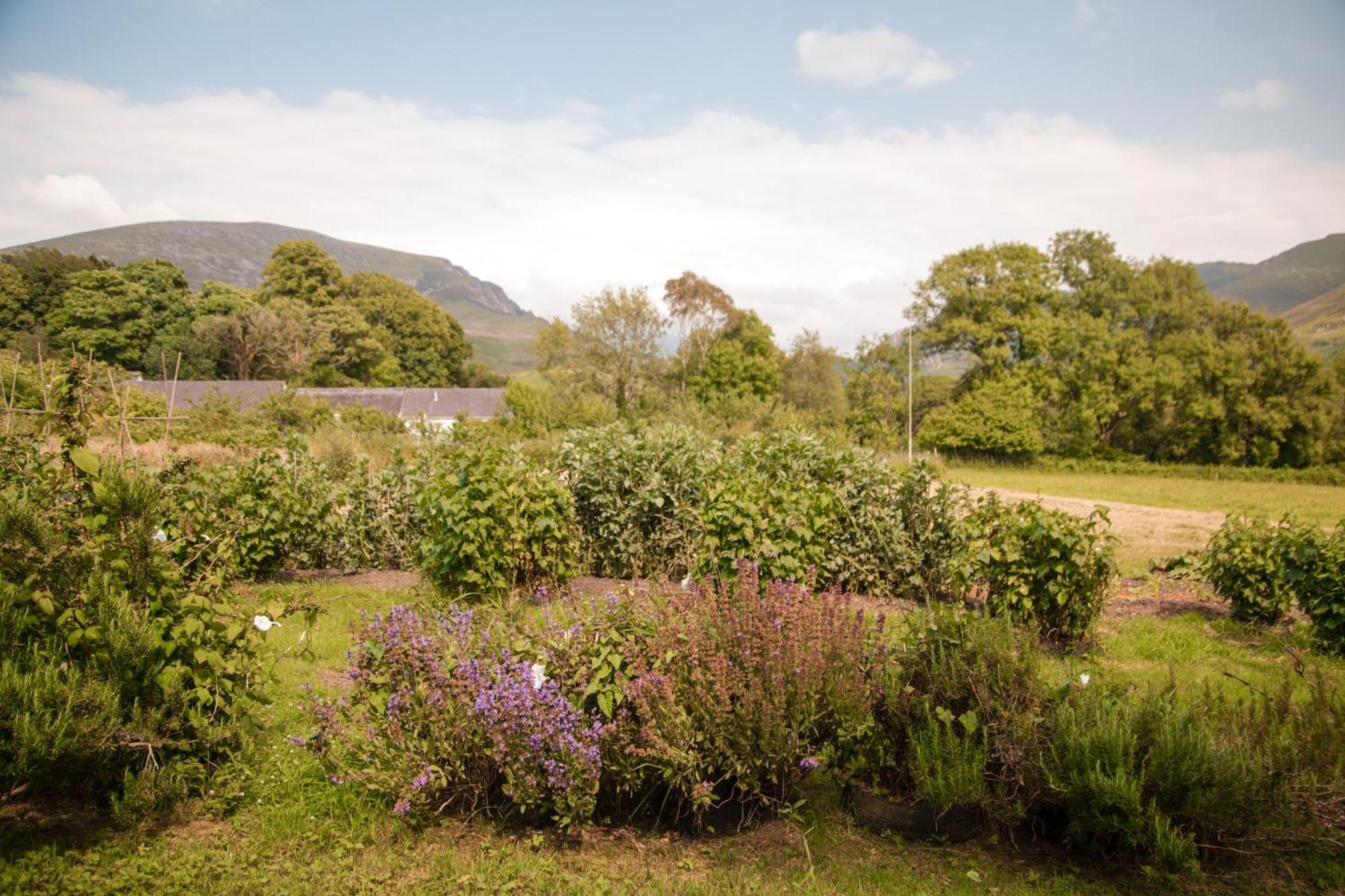 Trigonos - Quiet, Peaceful, Vegetarian B&B And Retreat Centre Nantlle Zewnętrze zdjęcie