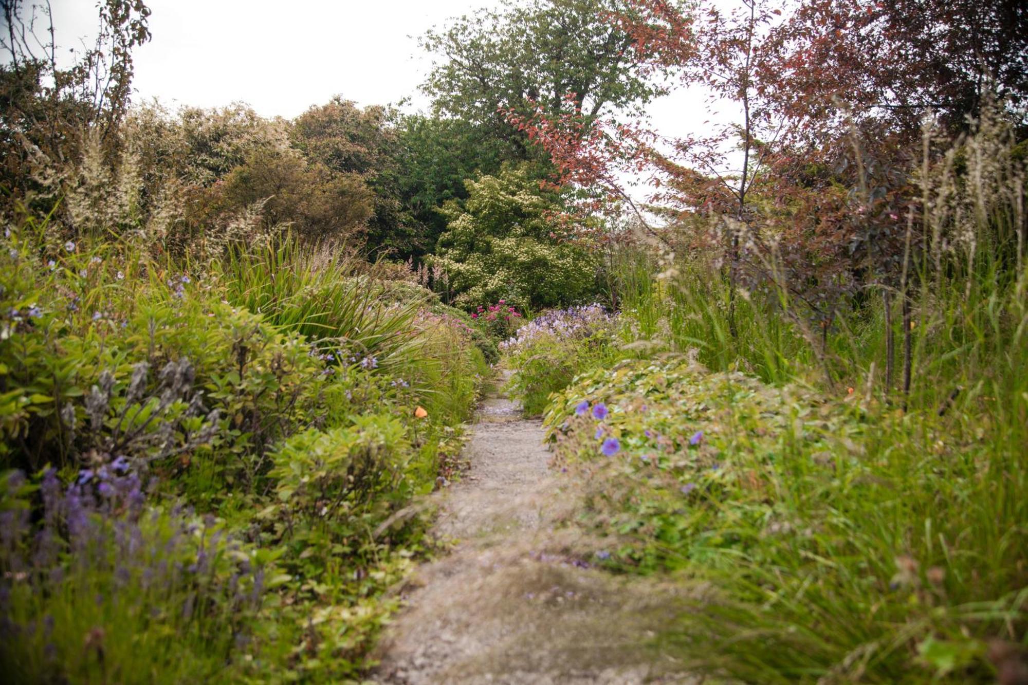Trigonos - Quiet, Peaceful, Vegetarian B&B And Retreat Centre Nantlle Zewnętrze zdjęcie