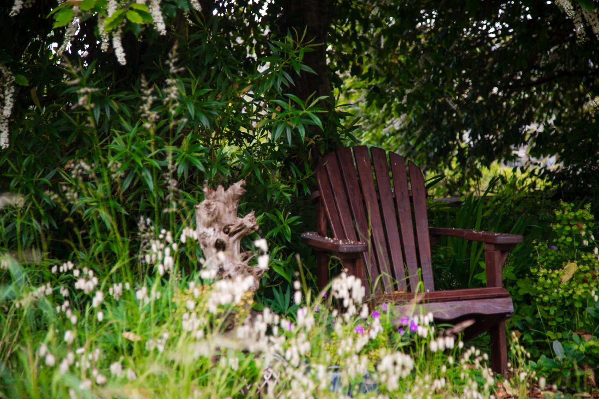Trigonos - Quiet, Peaceful, Vegetarian B&B And Retreat Centre Nantlle Zewnętrze zdjęcie