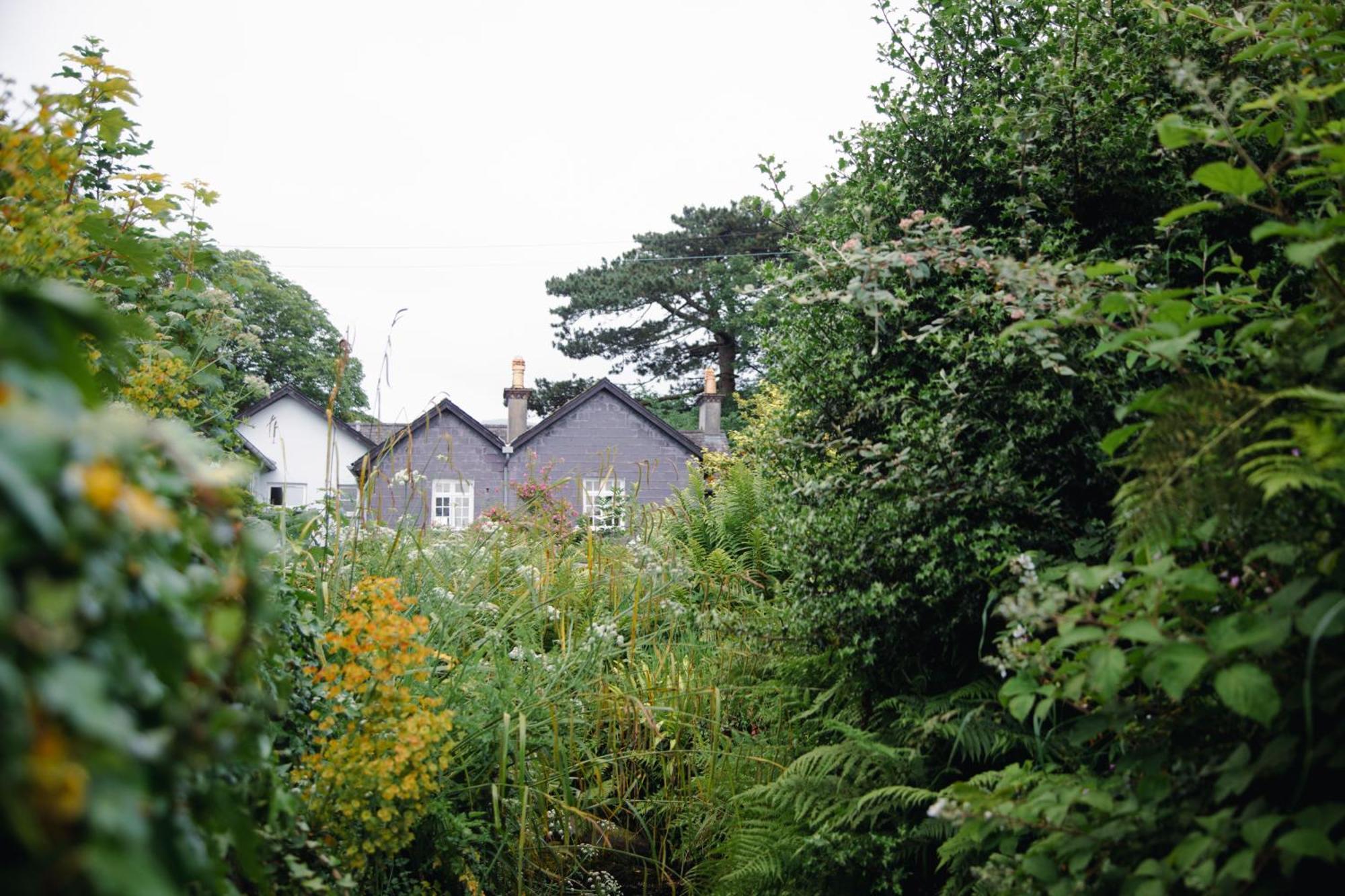 Trigonos - Quiet, Peaceful, Vegetarian B&B And Retreat Centre Nantlle Zewnętrze zdjęcie