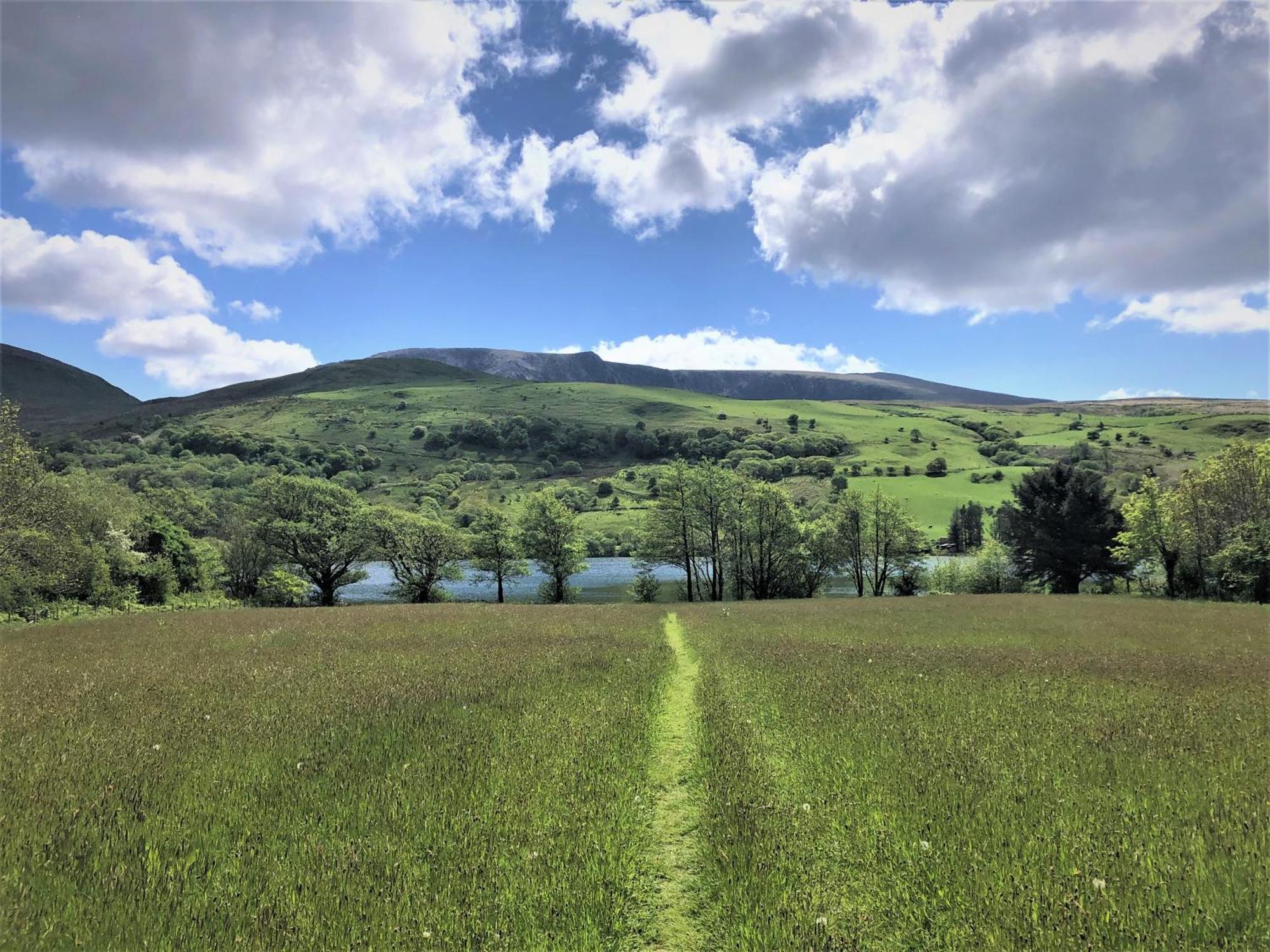 Trigonos - Quiet, Peaceful, Vegetarian B&B And Retreat Centre Nantlle Zewnętrze zdjęcie